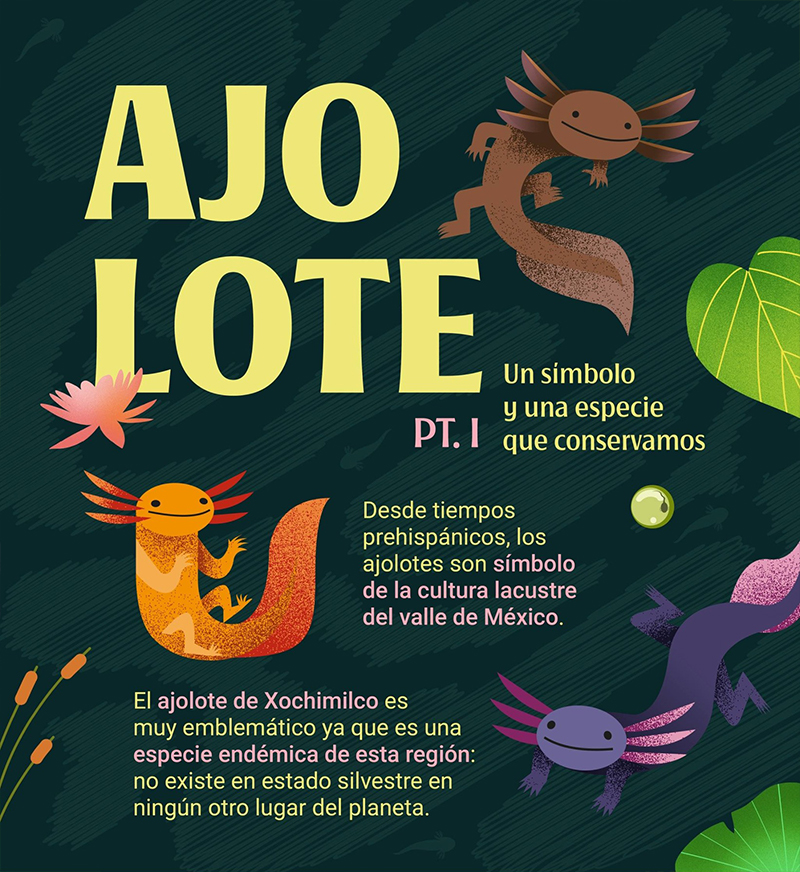 lam01