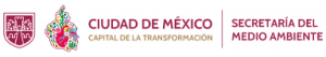 Cursos