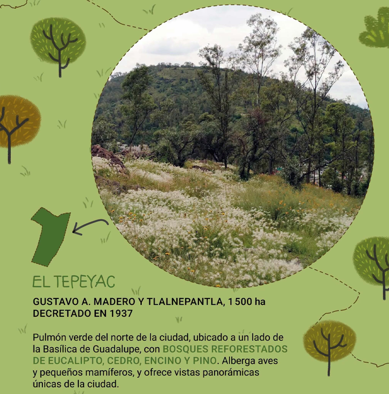 Parques