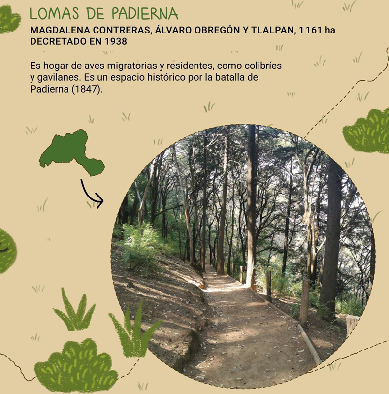 Parques