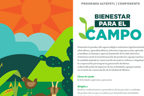 Programa Altepetl