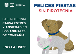 Pirotecnia