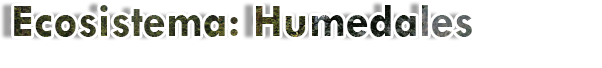 Humedales