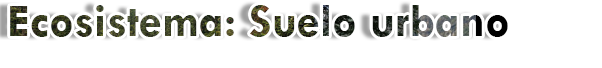 Urbano