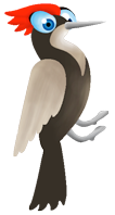 carpintero