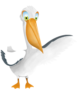 Pelicano
