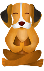 Perro